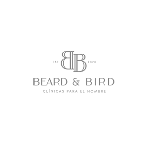 Diseño de logo, branding, identidad visual, mayenta brands, marca beard & bird